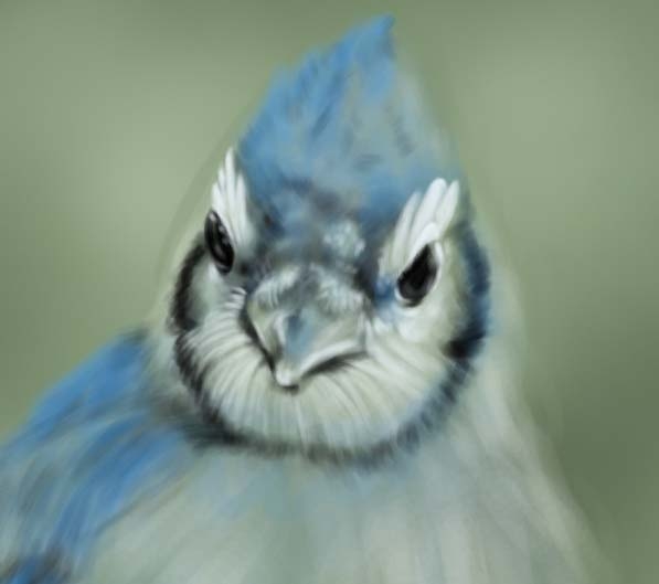 Creation of Little blue bird: Step 7